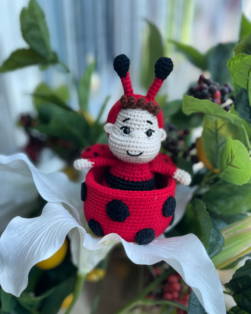 Little Ladybug